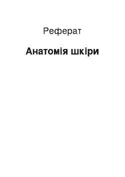 Реферат: Анатомія шкіри