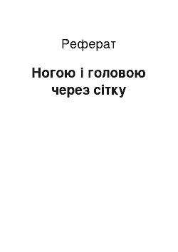 Реферат: Ногою і головою через сітку