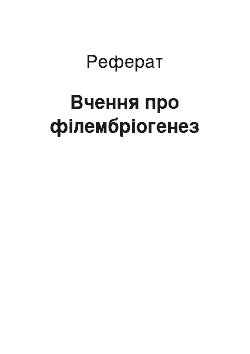 Реферат: Вчення про філембріогенез