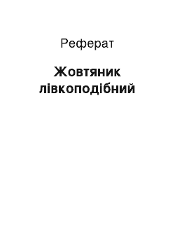 Реферат: Жовтяник лівкоподібний