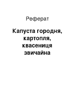 Реферат: Капуста городня, картопля, квасениця звичайна