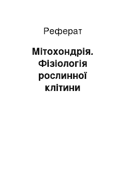 Реферат: Мітохондрія. Фізіологія рослинної клітини