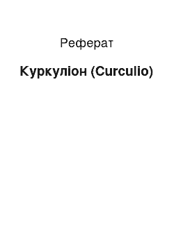 Реферат: Куркулион (Curculio)