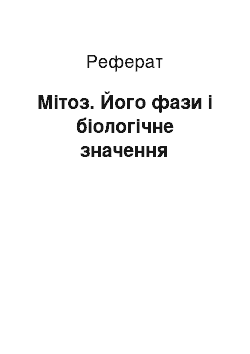 Реферат: Мітоз. Його фази і біологічне значення