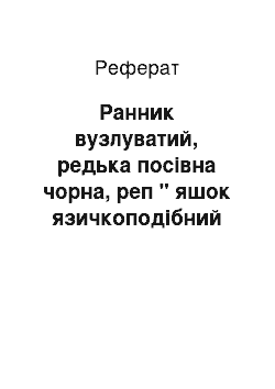 Реферат: Ранник вузлуватий, редька посівна чорна, реп " яшок язичкоподібний