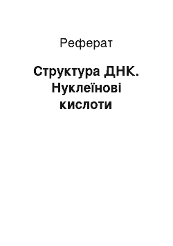 Реферат: Структура ДНК. Нуклеиновые кислоты