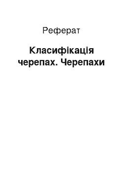 Реферат: Класифікація черепах. Черепахи