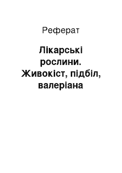 Реферат: Лікарські рослини. Живокіст, підбіл, валеріана