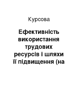 Курсовая: Ефективність використання трудових ресурсів і шляхи її підвищення (на прикладі підприємства Зіньківської РСС «Зіньківський хлібокомбінат»)