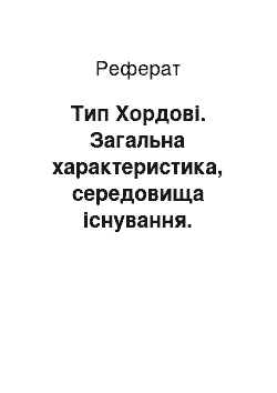 Реферат: Тип Хордові. Загальна характеристика, середовища існування. Різноманітність хордових