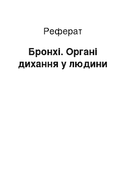 Реферат: Бронхи. Органи дихання у людини