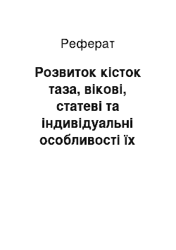 Реферат: Розвиток кісток таза, вікові, статеві та індивідуальні особливості їх