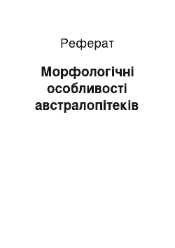 Реферат: Морфологічні особливості австралопітеків