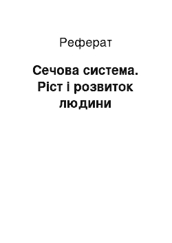 Реферат: Сечова система. Ріст і розвиток людини