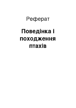 Реферат: Поведінка і походження птахів