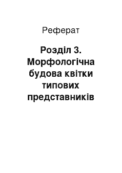 Реферат: Розділ 3. Морфологічна будова квітки типових представників айстрових