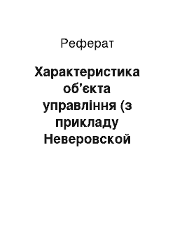 Реферат: Характеристика об'єкта управління (з прикладу Неверовской середньої школы)