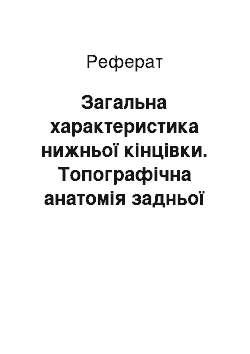 Реферат: Загальна характеристика нижньої кінцівки. Топографічна анатомія задньої поверхні стегна і кульшового суглоба. Мікрохірургічні та ендовазальні операції на судинах. Пластика судин та операції при аневризмах