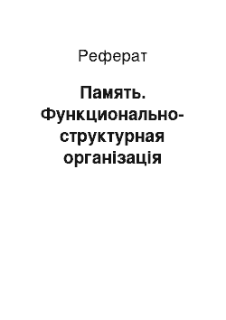 Реферат: Память. Функционально-структурная організація