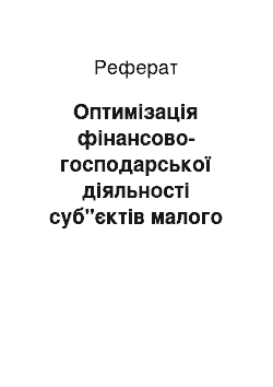 Реферат: Оптимізація фінансово-господарської діяльності суб"єктів малого підприємництва