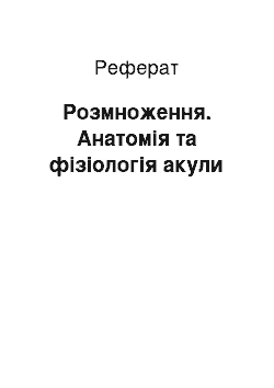 Реферат: Розмноження. Анатомія та фізіологія акули