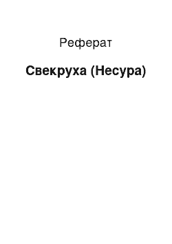 Реферат: Свекруха (Несура)