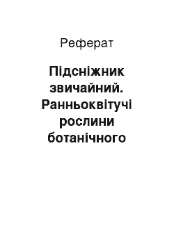 Реферат: Підсніжник звичайний. Ранньоквітучі рослини ботанічного заказника "Сад-Балка" у Дніпропетровській області