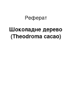 Реферат: Шоколадне дерево (Theodroma cacao)