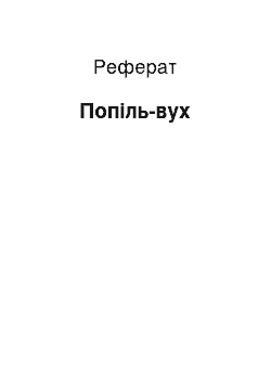 Реферат: Пополь-Вух