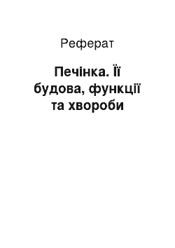 Реферат: Печінка. Її будова, функції та хвороби