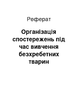 Реферат: Організація спостережень під час вивчення безхребетних тварин