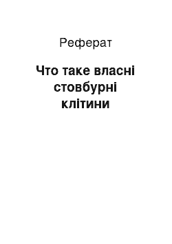 Реферат: Что таке власні стовбурні клітини