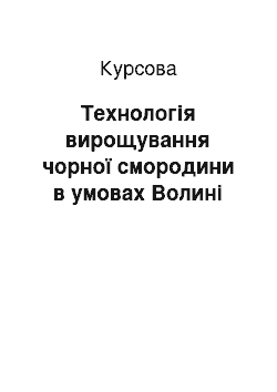 Курсовая: Технологія вирощування чорної смородини в умовах Волині