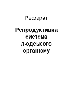 Реферат: Репродуктивна система людського організму