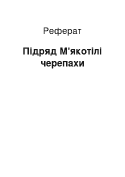 Реферат: Підряд М'якотілі черепахи