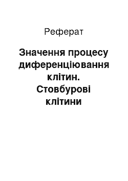 Реферат: Значення процесу диференціювання клітин. Стовбурові клітини