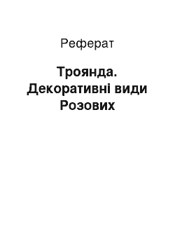 Реферат: Троянда. Декоративні види Розових