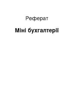 Реферат: Міні бухгалтерії