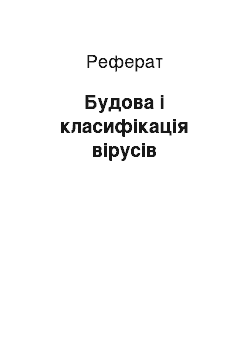 Реферат: Будова і класифікація вірусів