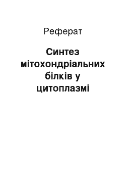 Реферат: Синтез мітохондріальних білків у цитоплазмі