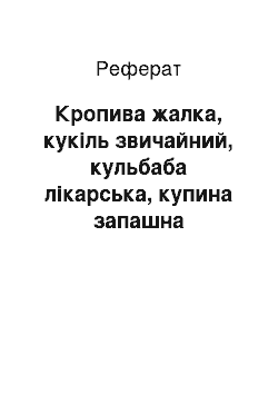 Реферат: Кропива жалка, кукіль звичайний, кульбаба лікарська, купина запашна