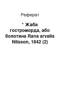 Реферат: * Жаба гостроморда, або болотяна Rana arvalis Nilsson, 1842 БЕ (2)