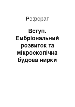 Реферат: Вступ. Ембріональний розвиток та мікроскопічна будова нирки людини