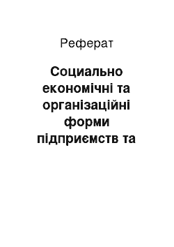 Реферат: Социально економічні та організаційні форми підприємств та його особливості