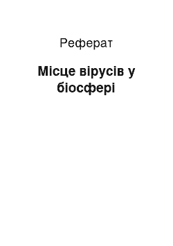 Реферат: Місце вірусів у біосфері