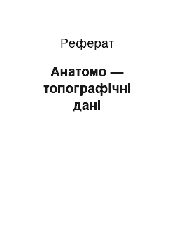 Реферат: Анатомо — топографічні дані