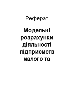 Реферат: Модельні розрахунки діяльності підприємств малого та середнього бізнесу