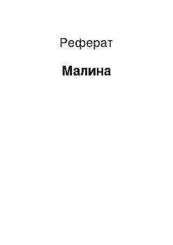 Реферат: Малина