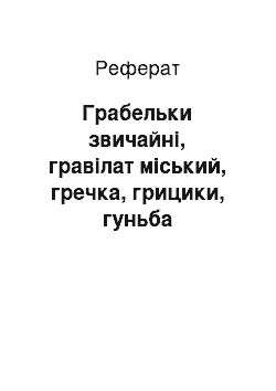 Реферат: Грабельки звичайні, гравілат міський, гречка, грицики, гуньба