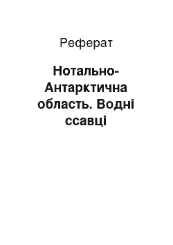 Реферат: Нотально-Антарктична область. Водні ссавці